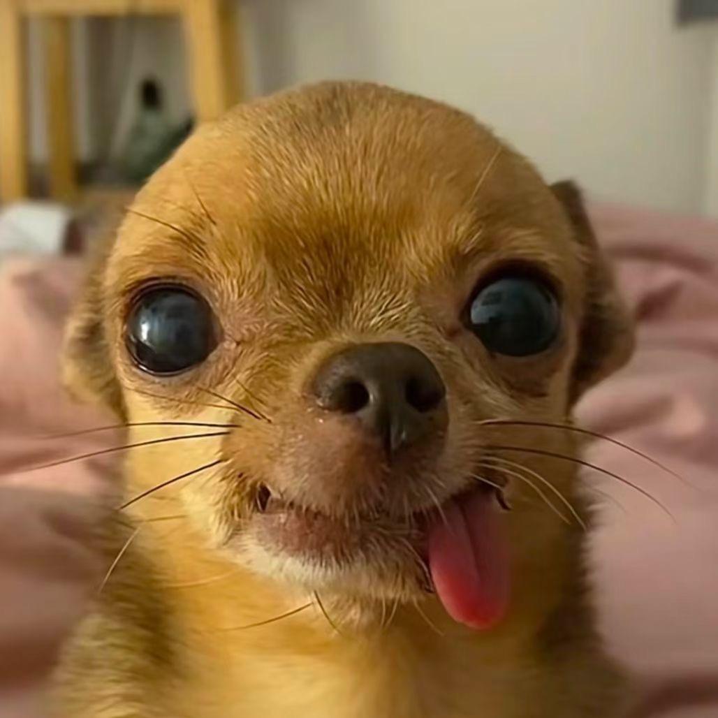 不见当年