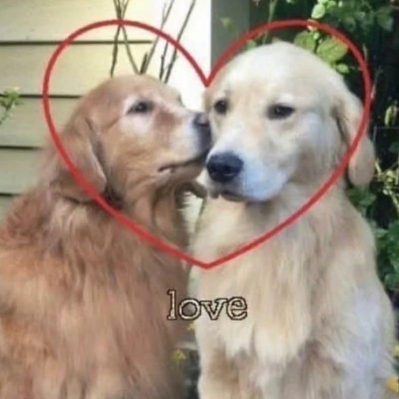 猪猪家外贸小铺