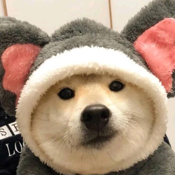 基欺希
