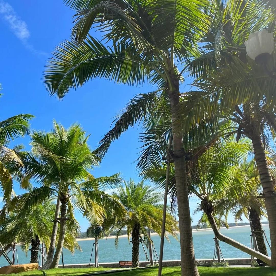 乐途旅行家【海南站】