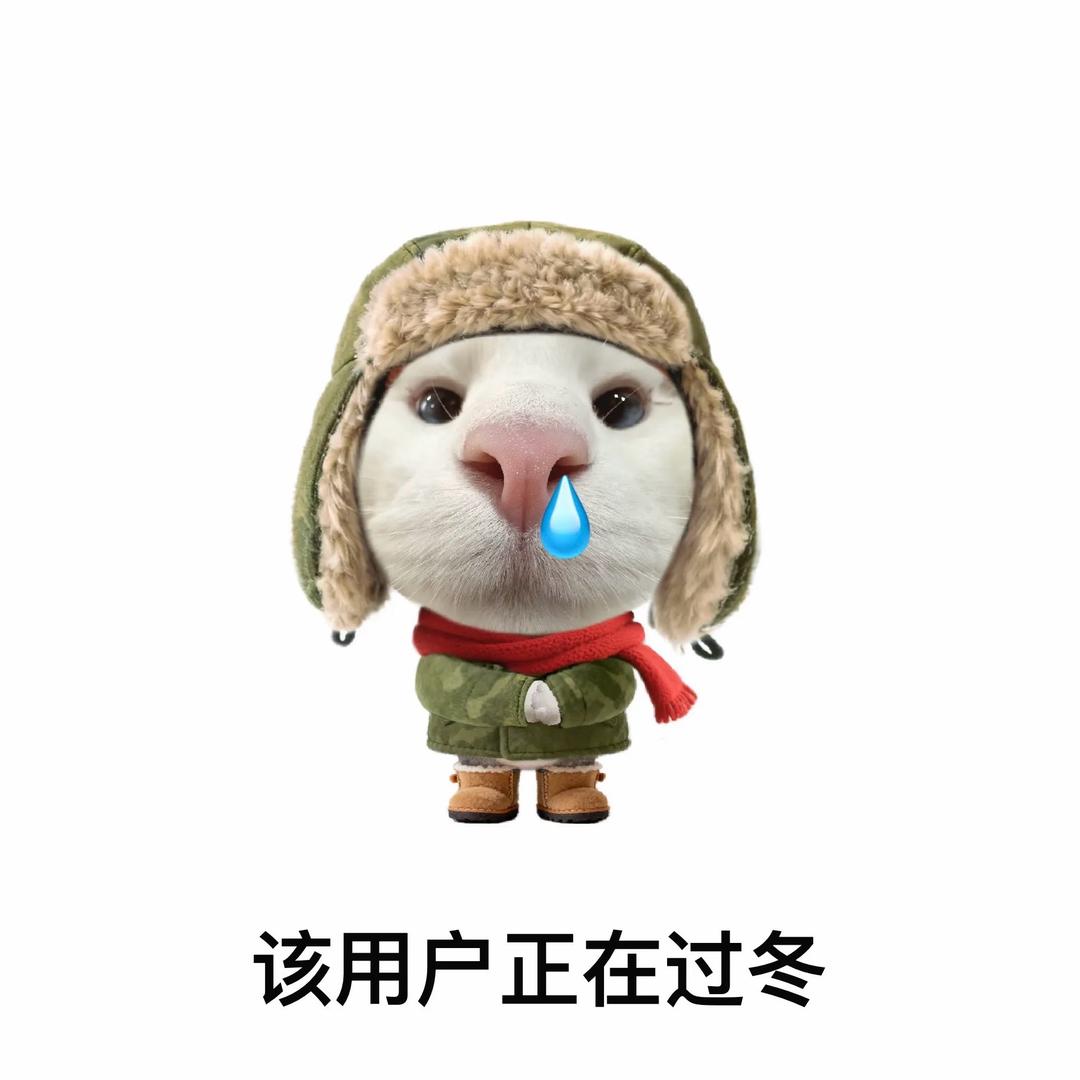 xiaolin（中成招牌炸蘑菇）