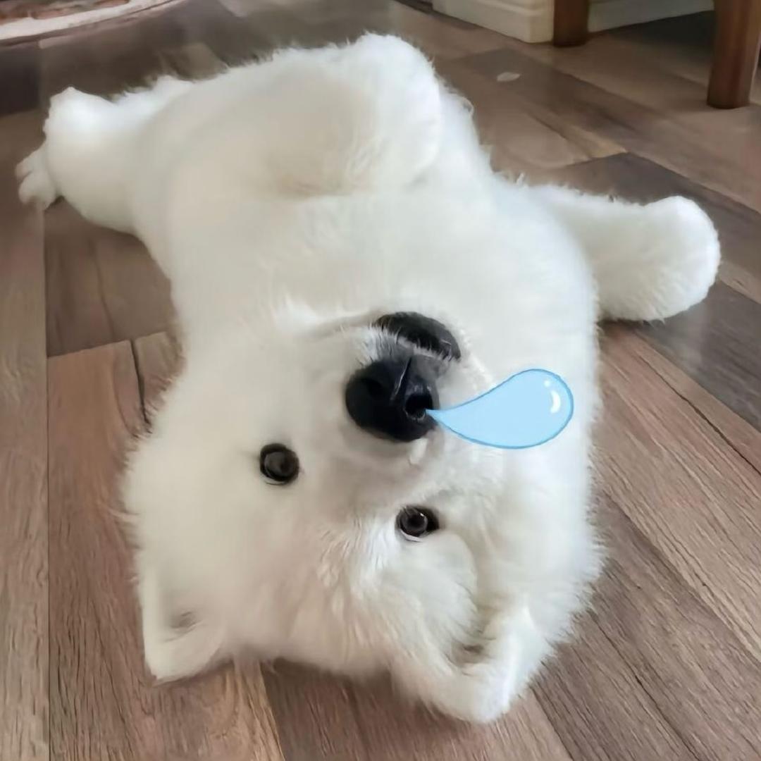 睡大觉