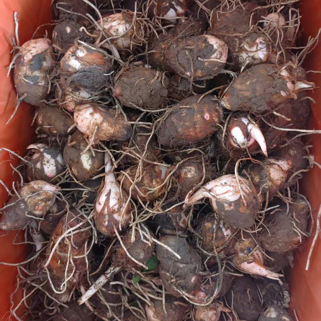 弋农生鲜食品