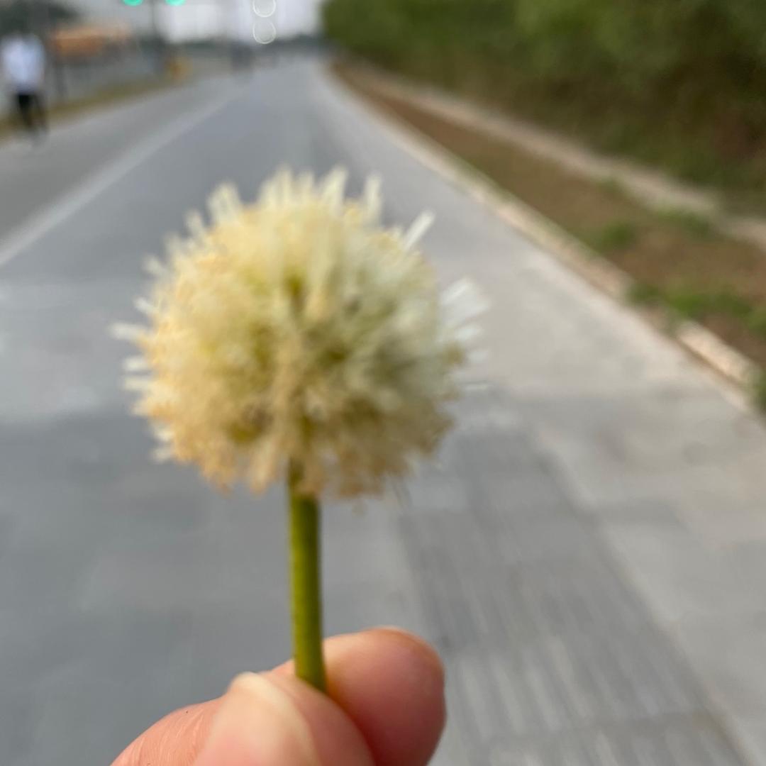 陌路星辰