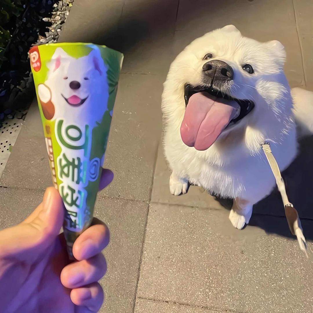 只会比耶✌️