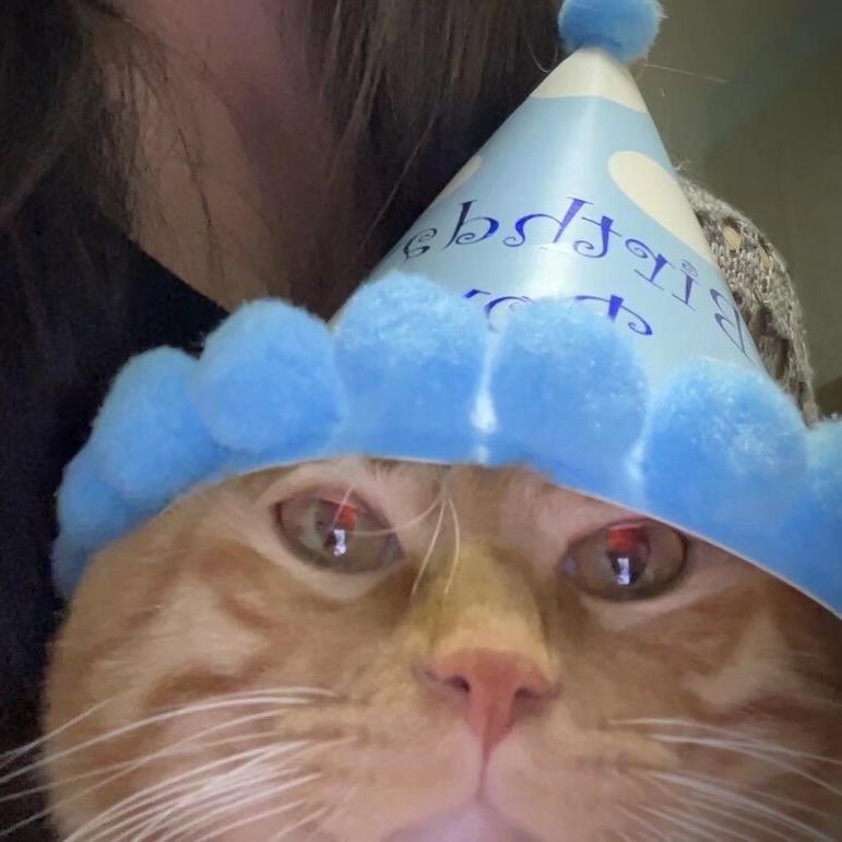 饺子皮🐈