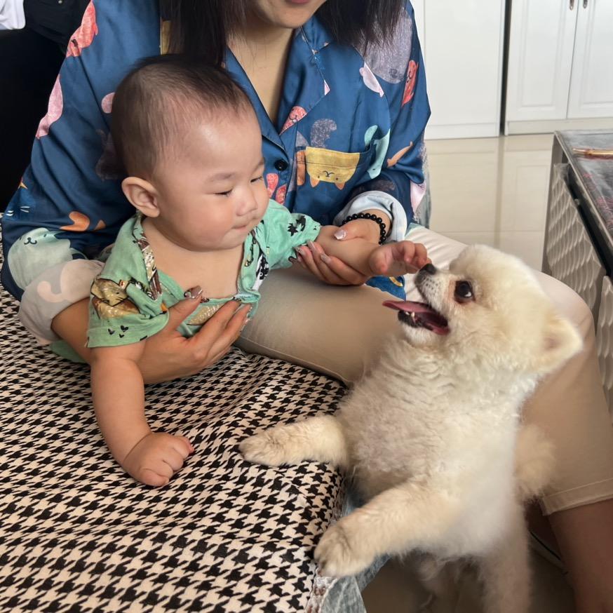 @麦麦吖🐾