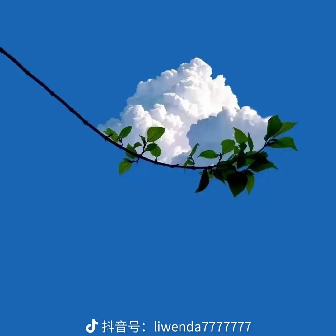 田贝梦蓓清劳务严选铺