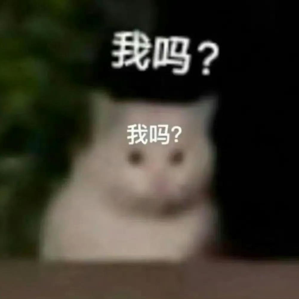 原地发疯不准自省