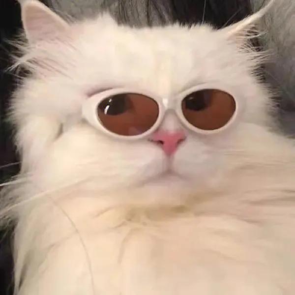 爱打球的张小胖