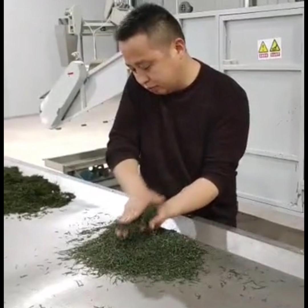 古丈毛尖(润溪茶业戴老板)