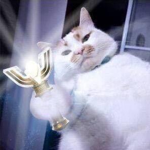嘿嘿