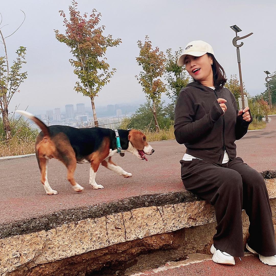 小燕子