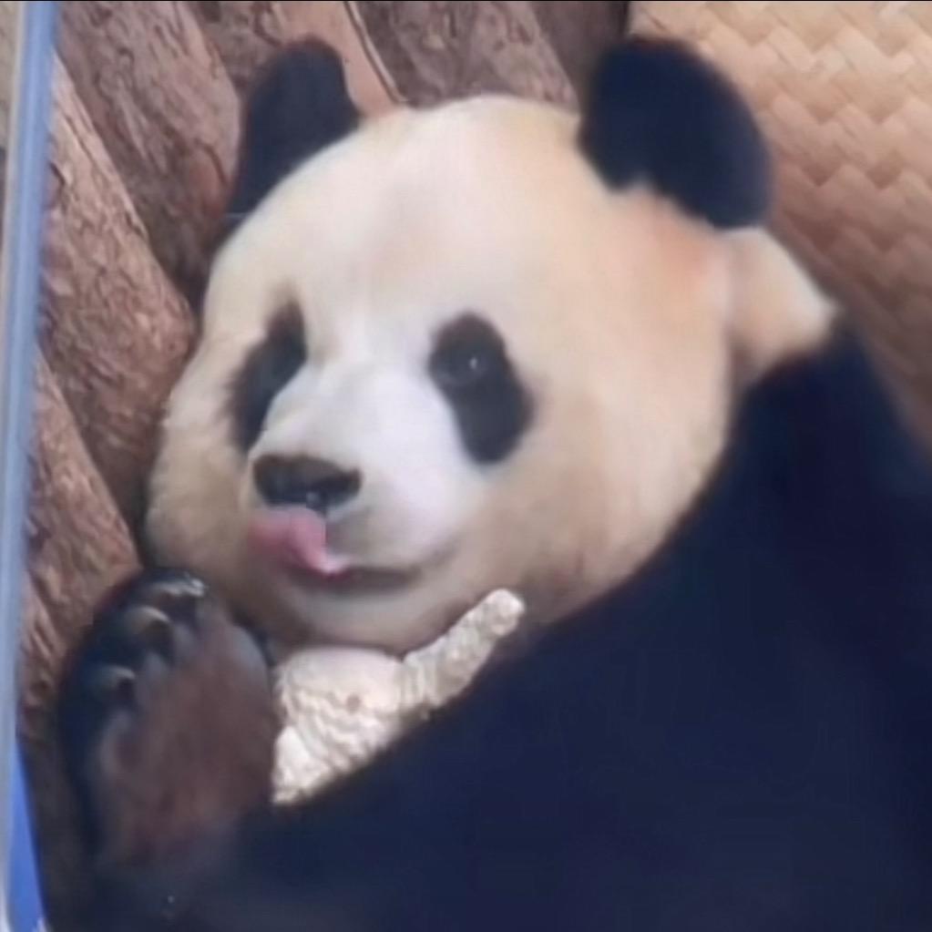 宝可桃桃