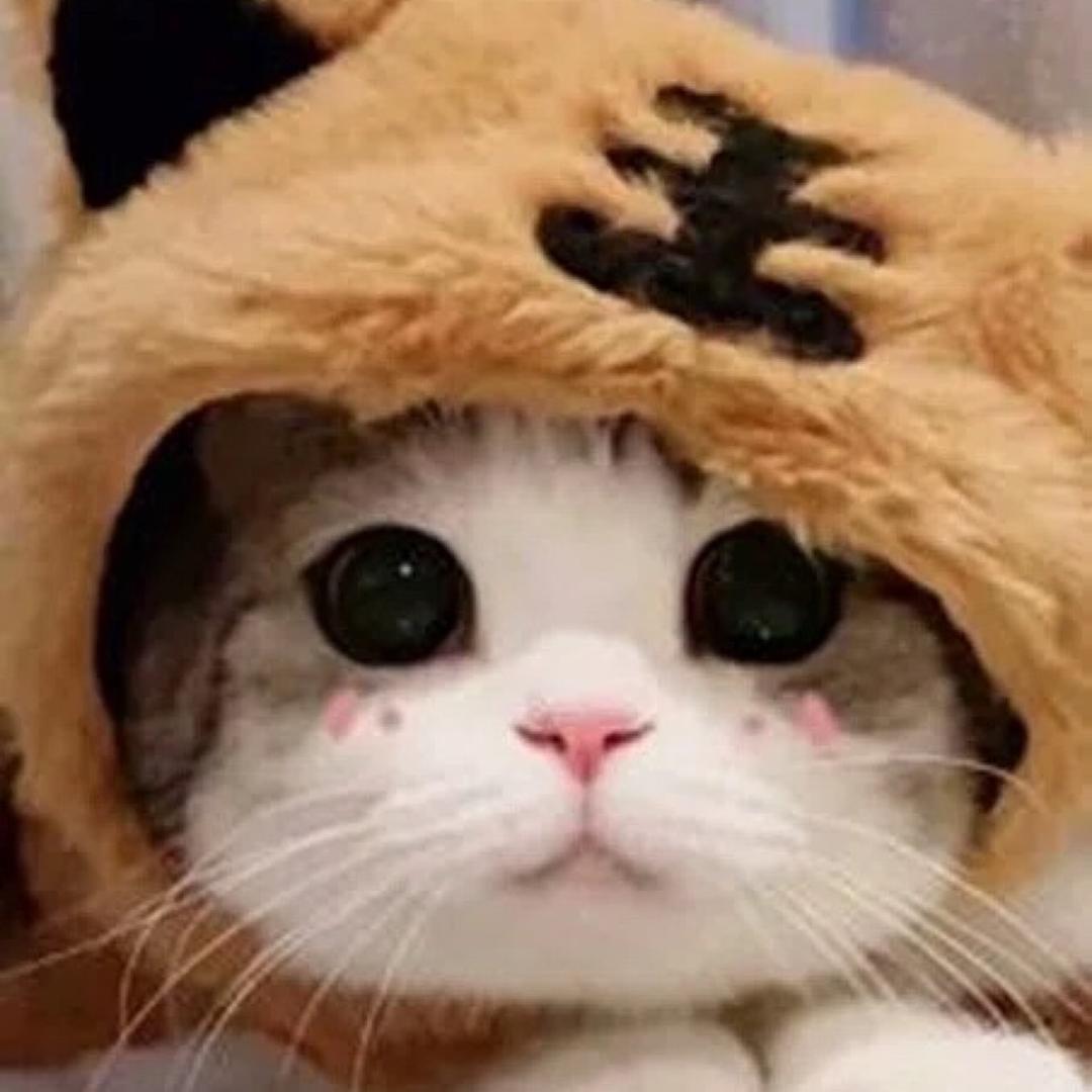 特种作业考培～王老师