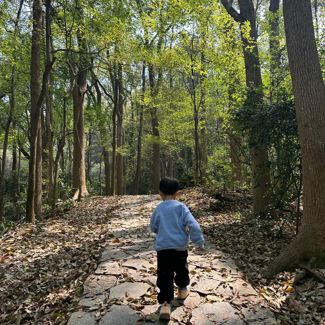 添添麻麻