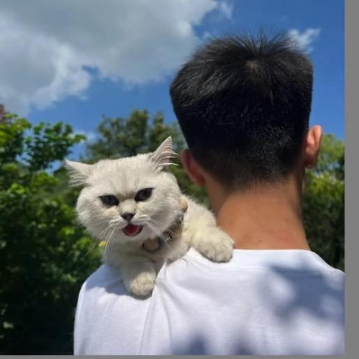 炸🐔小王子🤴无人机