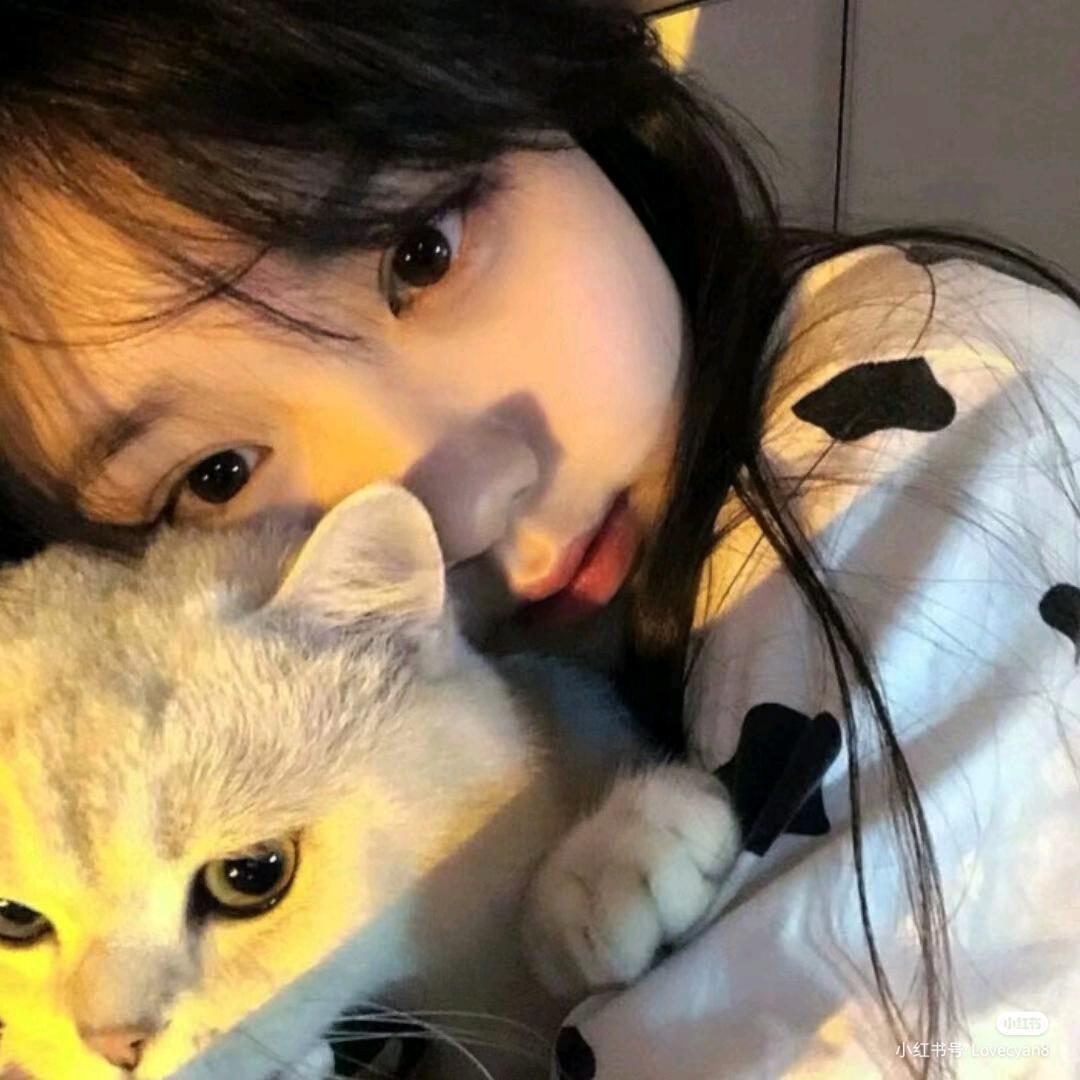 🥯小丸纸 *ﾟ