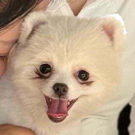 嘻嘻的小彩店