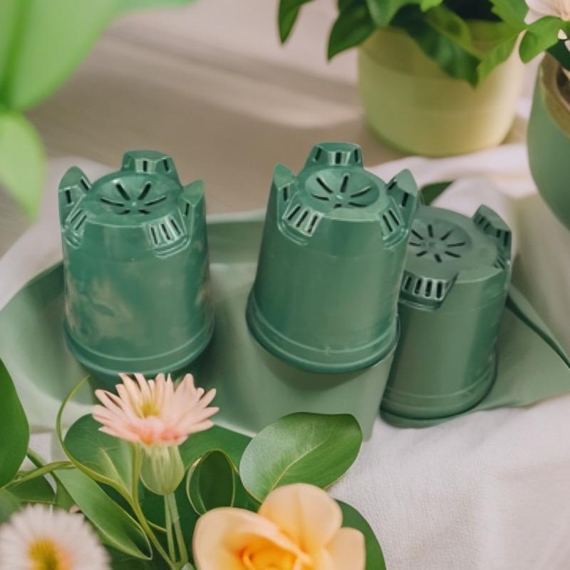 孔老板的多肉基地