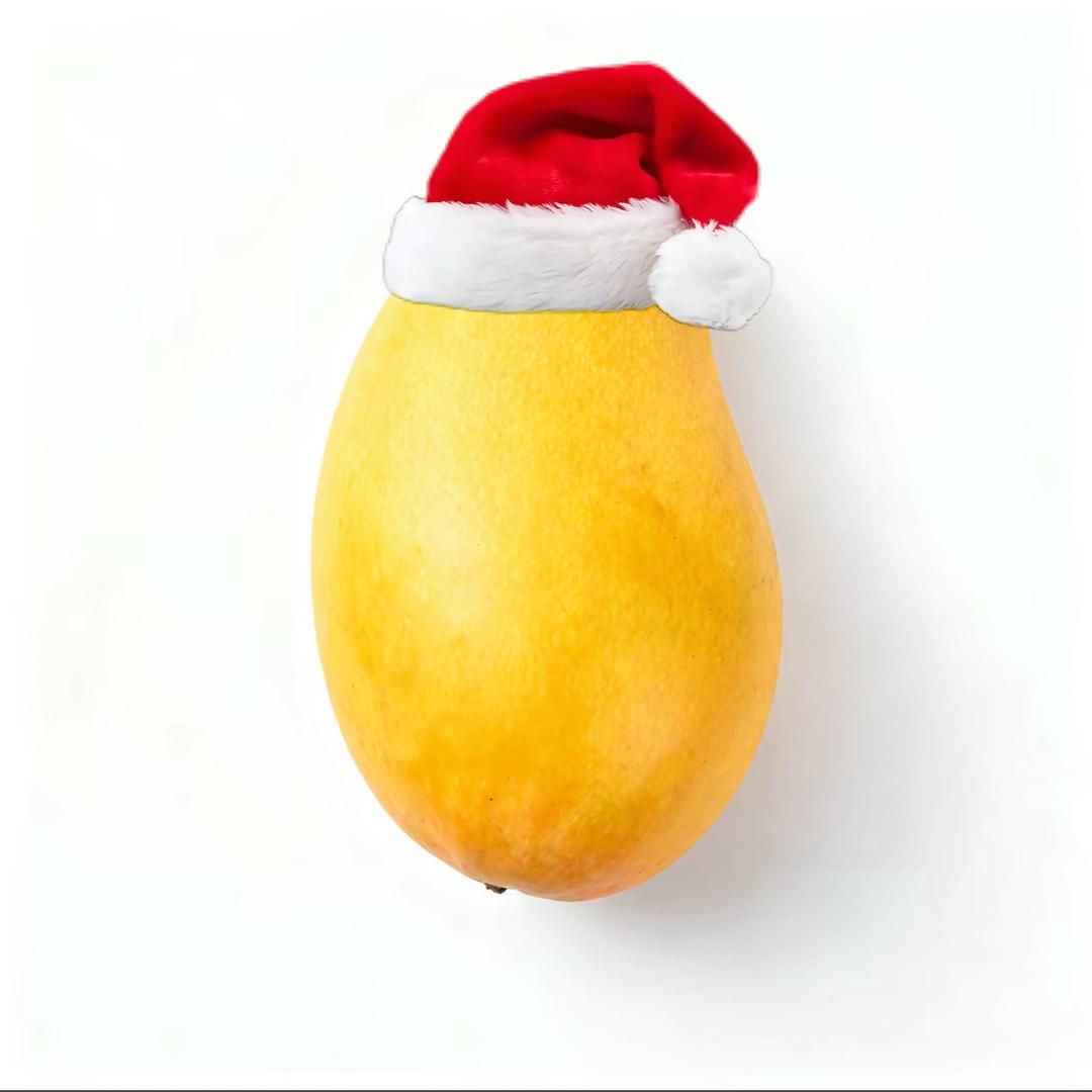 前妻和小三在农村后院嗦鸡屎