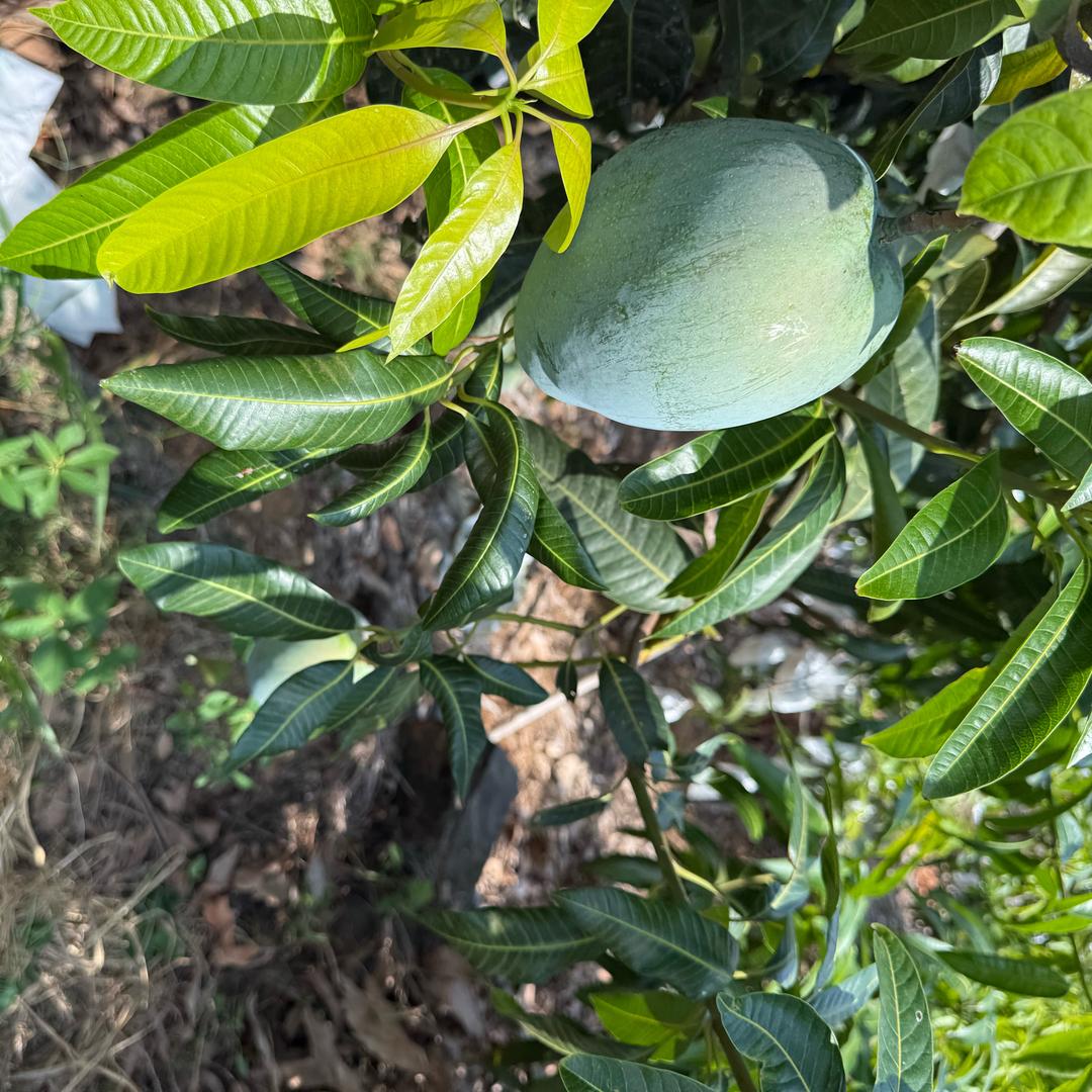 今天未完待续
