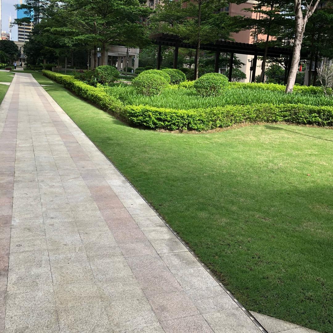 刑天