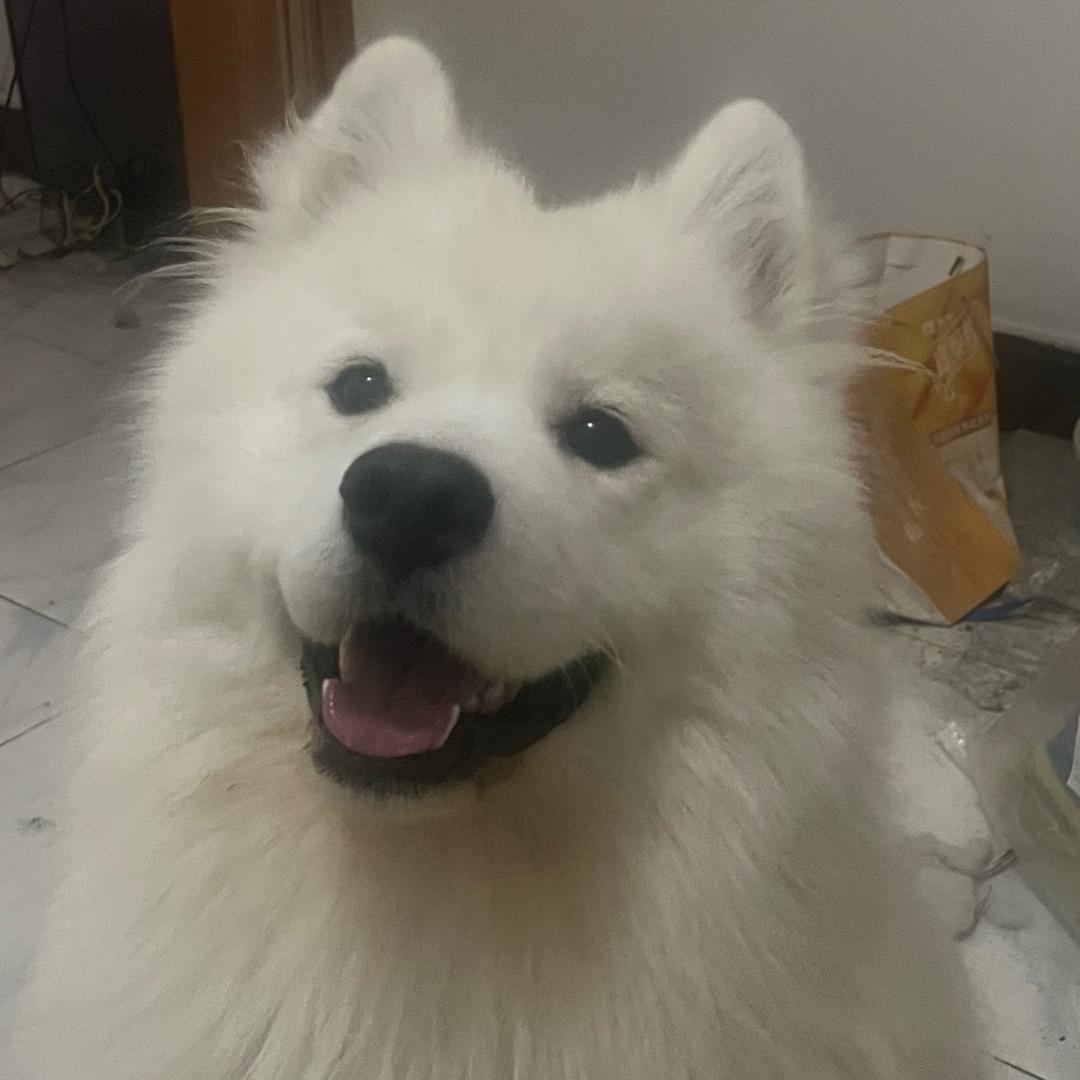 后悔把她嫁给你