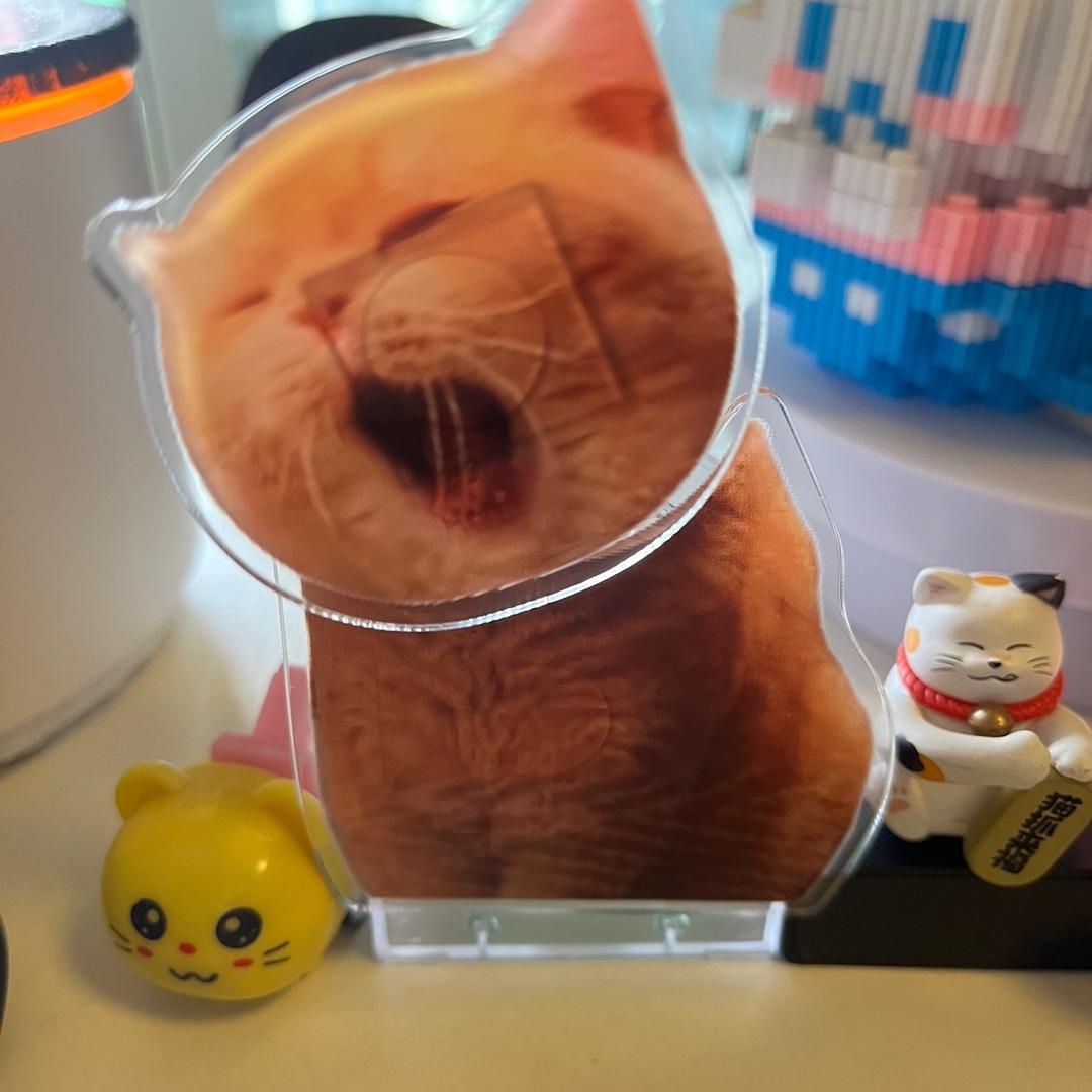 真真甄选