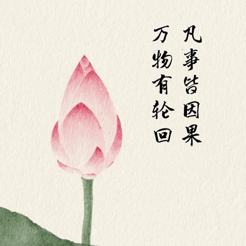 棉花糖《文华阁》