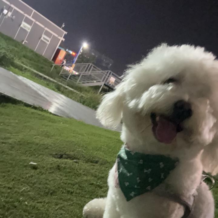 不吃大蒜的喔喔