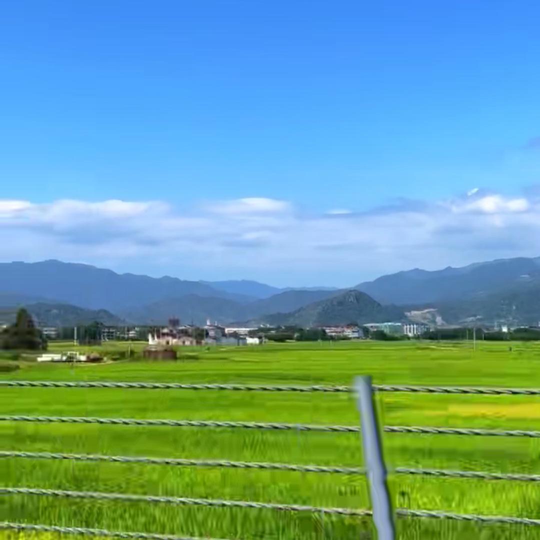 风轻云淡🎖️🎖️🎖️