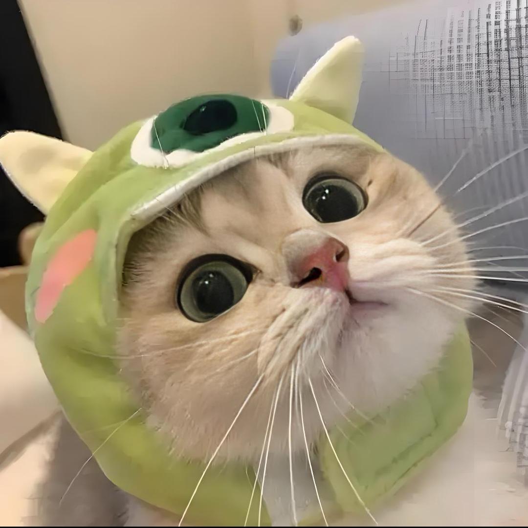 ⭐