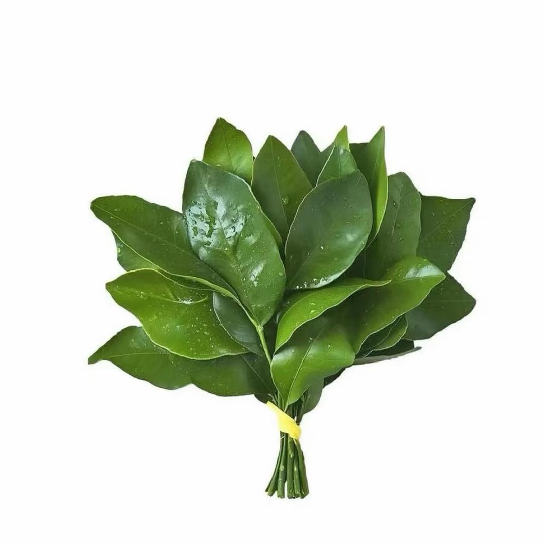嘎吱窝