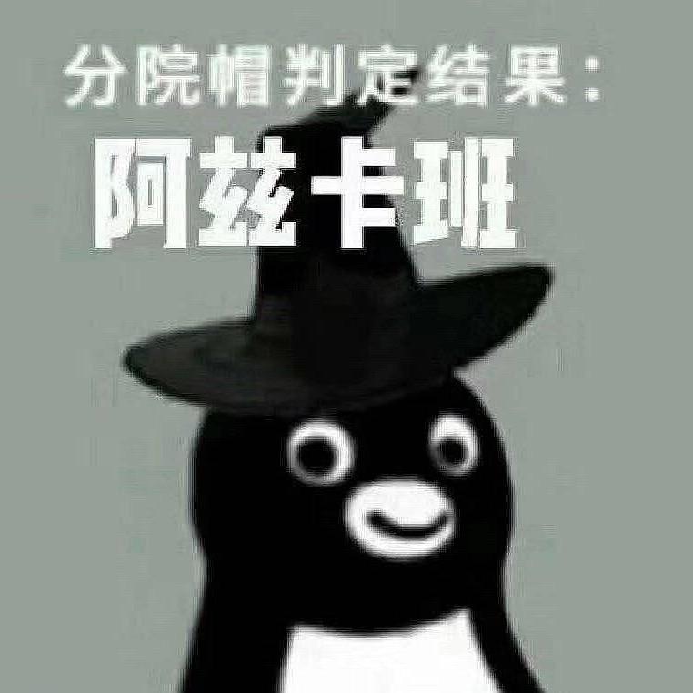 全球首富星澜头像