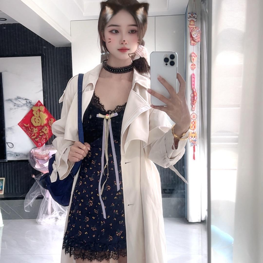 一只小懒猫