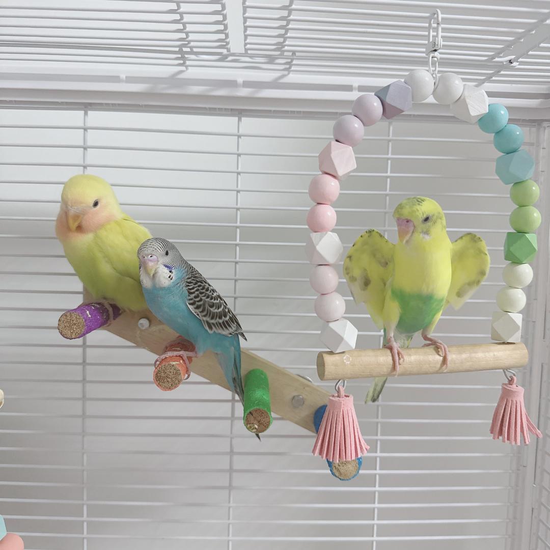 兜兜里弥有糖糖