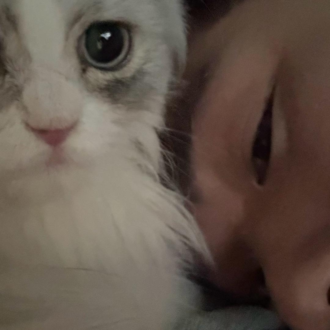 六一是妹妹