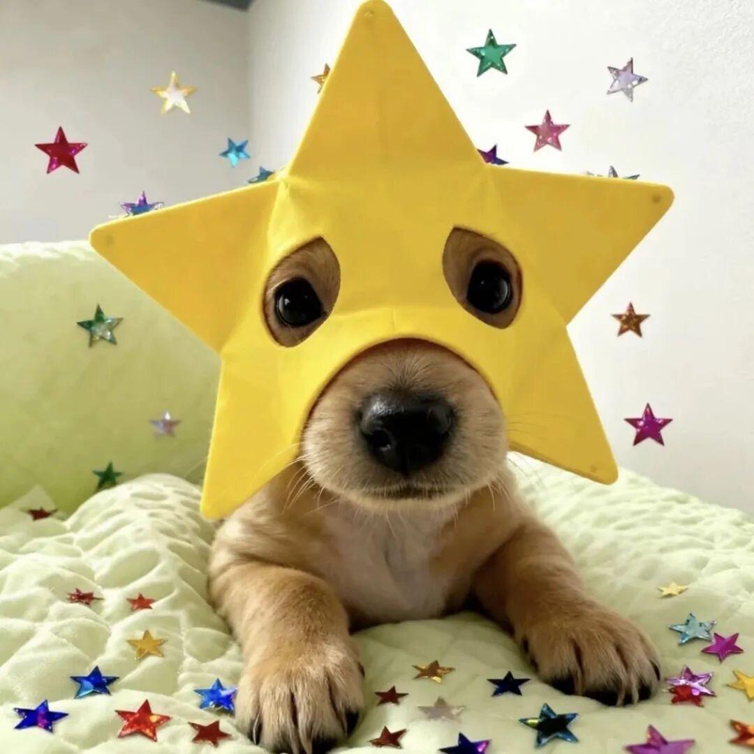 在吉尔吉斯斯坦麦苦茶的斯密马赛杨桑.