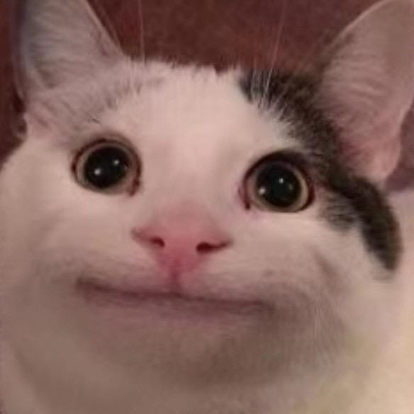 汐⌯