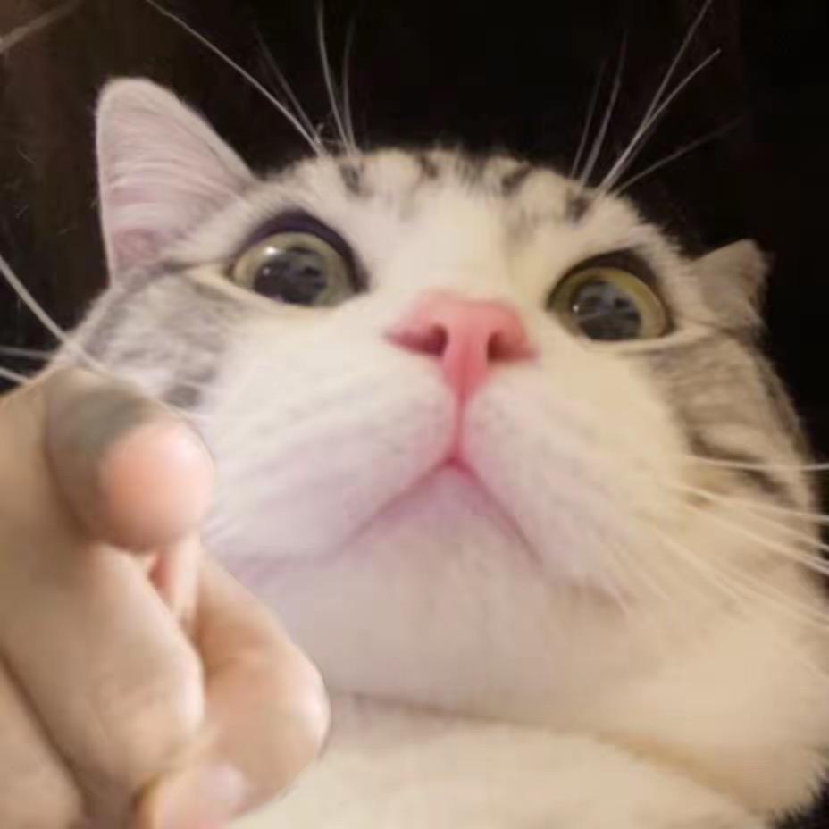 🎶🎶Bertunvfk👍👌