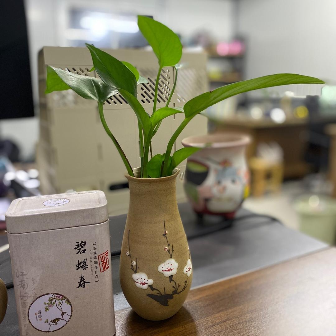 优默园艺