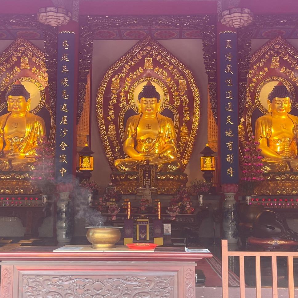 惠东县顺福堂龙狮