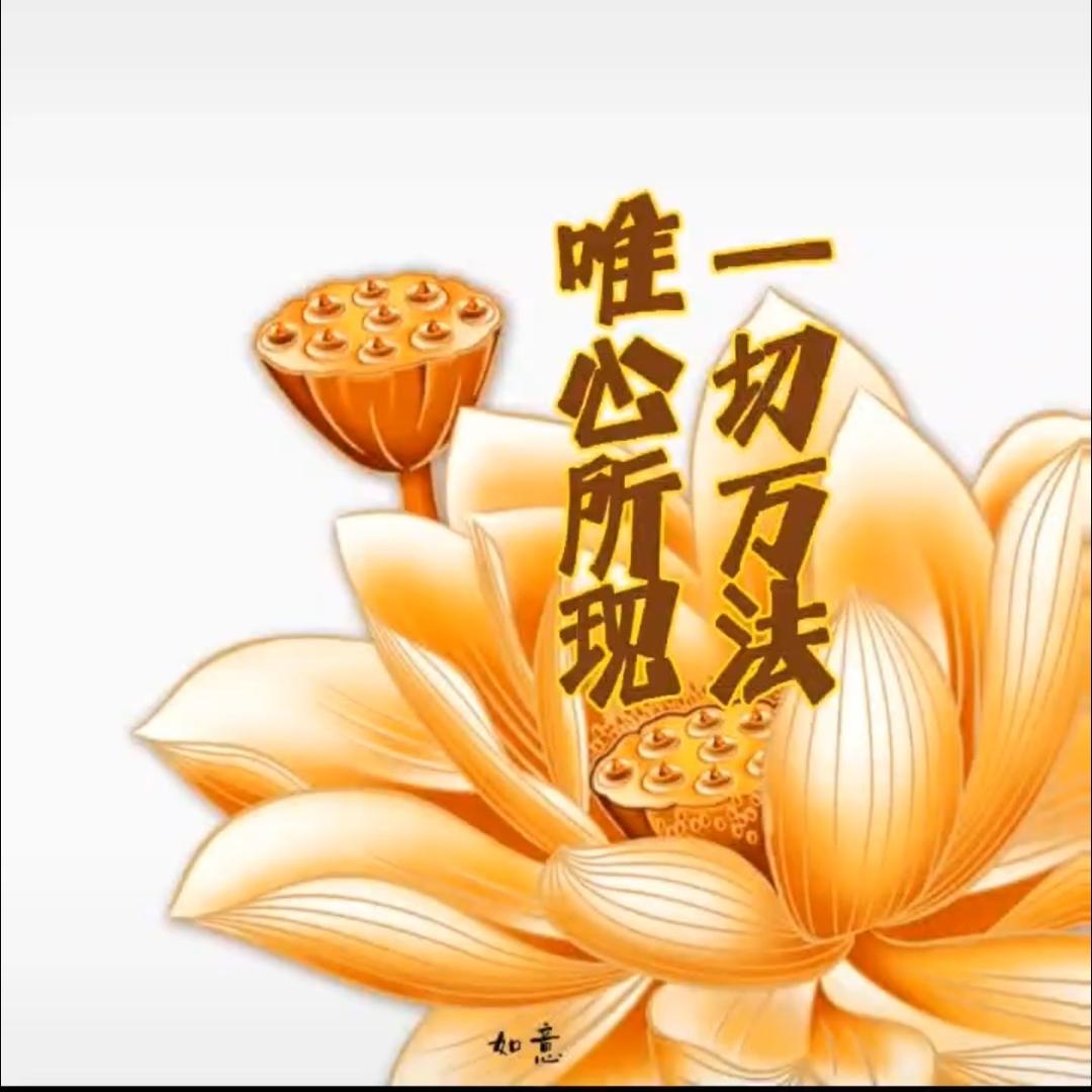 释当悟
