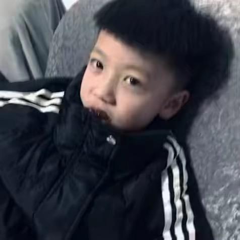 金少侠