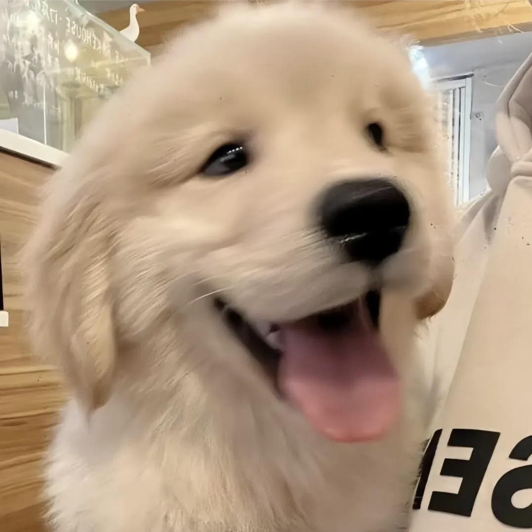 不营业的猫🧀.