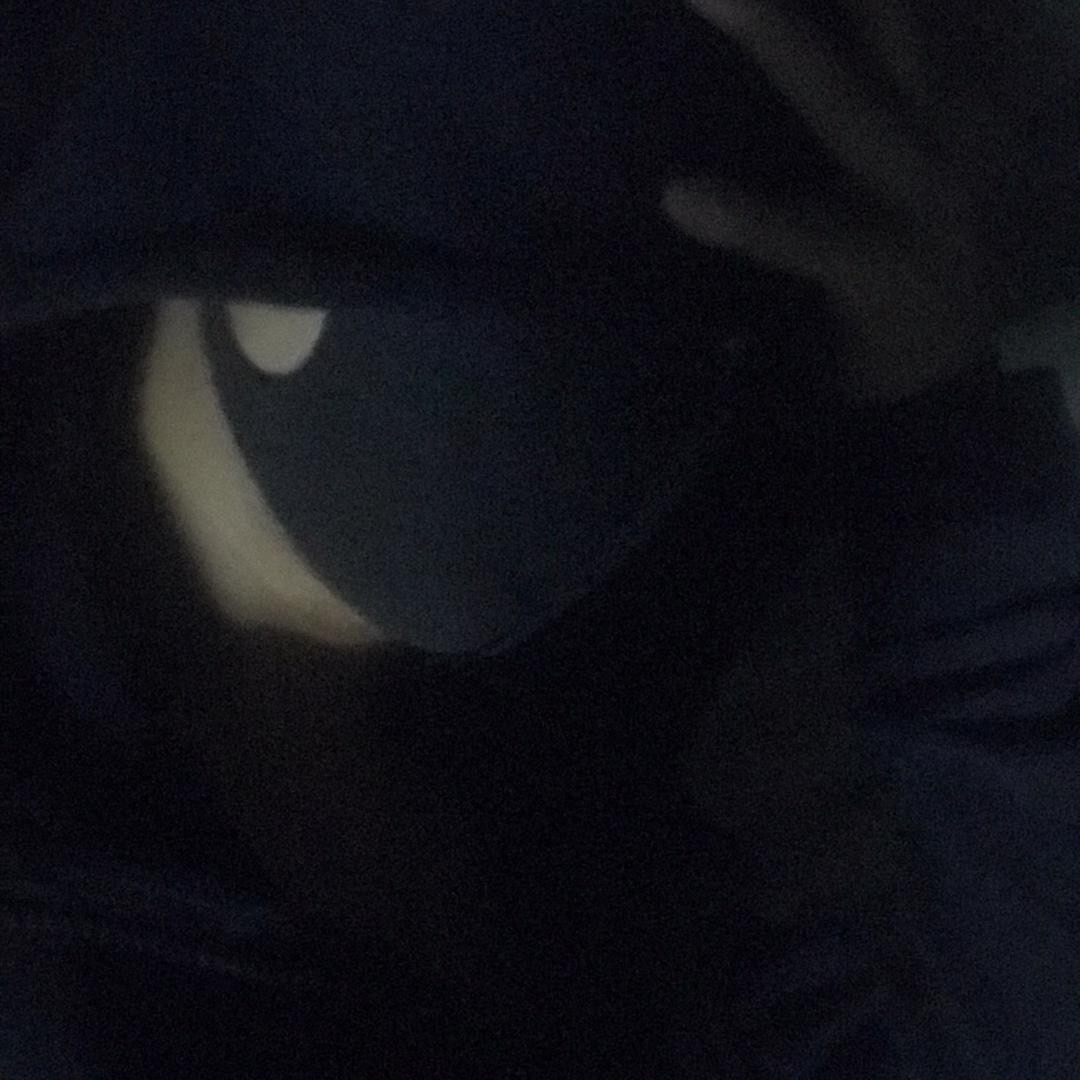 恸