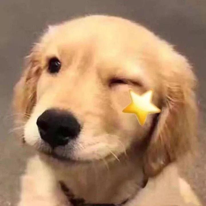 小鬼罒