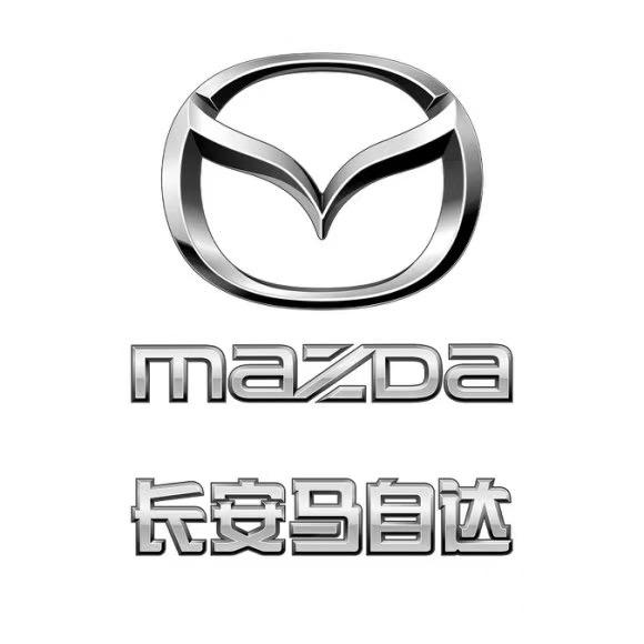 长马新能源武汉银马店