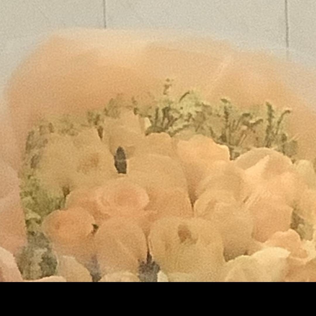 鲁西酱